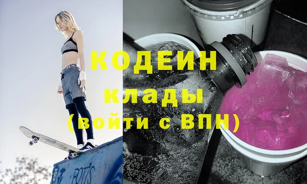 крисы Сатка