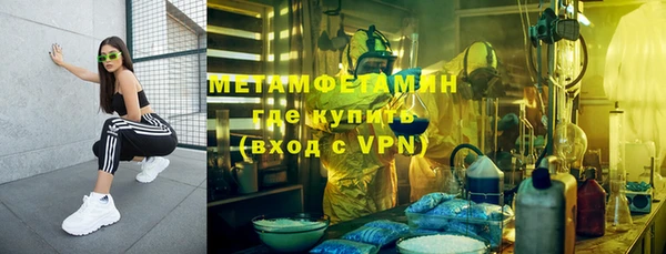 крисы Сатка