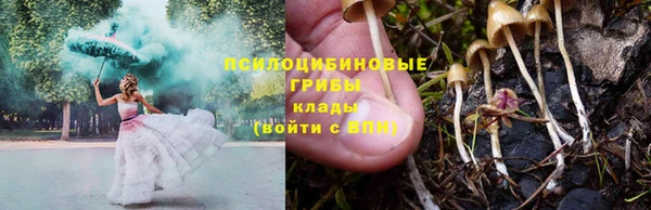 мдпв Бугульма
