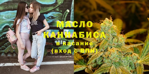 крисы Сатка