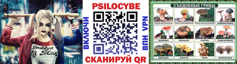 наркота  Оса  Псилоцибиновые грибы Psilocybine cubensis 